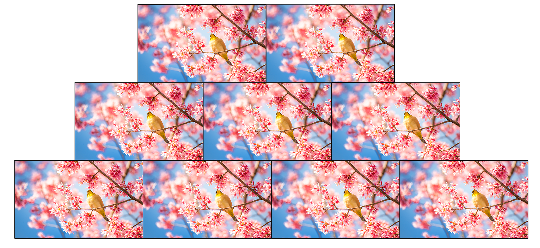 叠加主图PNG1.png